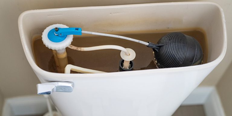 how-to-get-rid-of-sulphur-smell-in-toilet-scotts-home-improvement