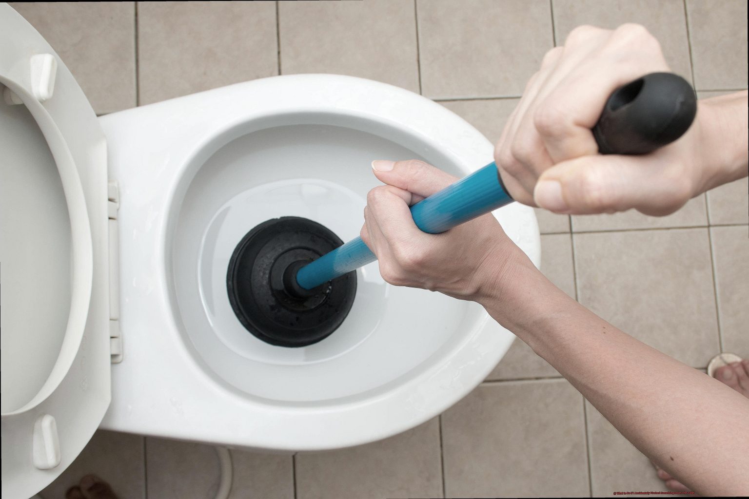 What to Do If I Accidentally Flushed Something Down The Toilet ...